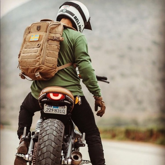 Meet your Posher, Gino - Picture 3 of 4